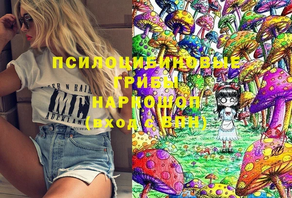 гашик Балахна