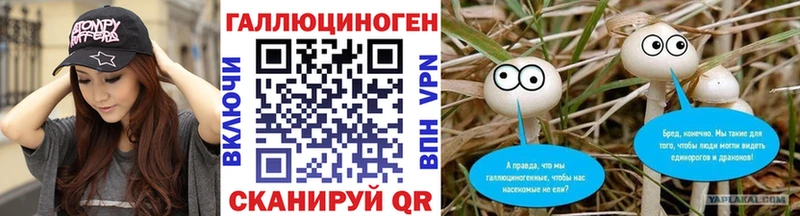 где купить наркоту  Электросталь  сайты даркнета состав  Псилоцибиновые грибы мицелий 